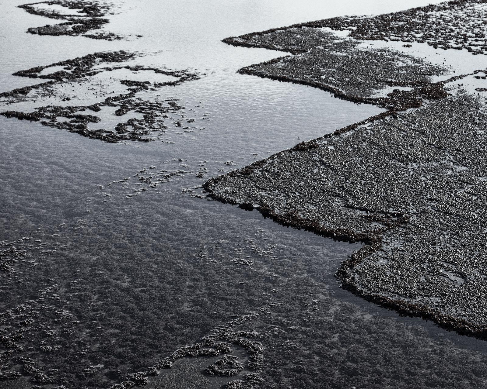 Graphics in the shale, Saltwick Bay