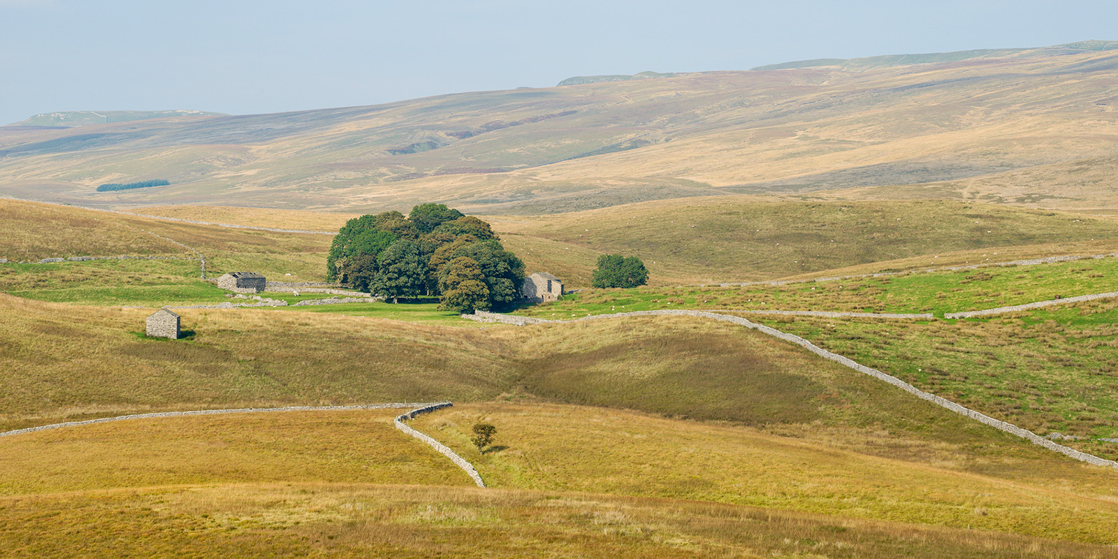 Pastoral scenes, Ribblesdale