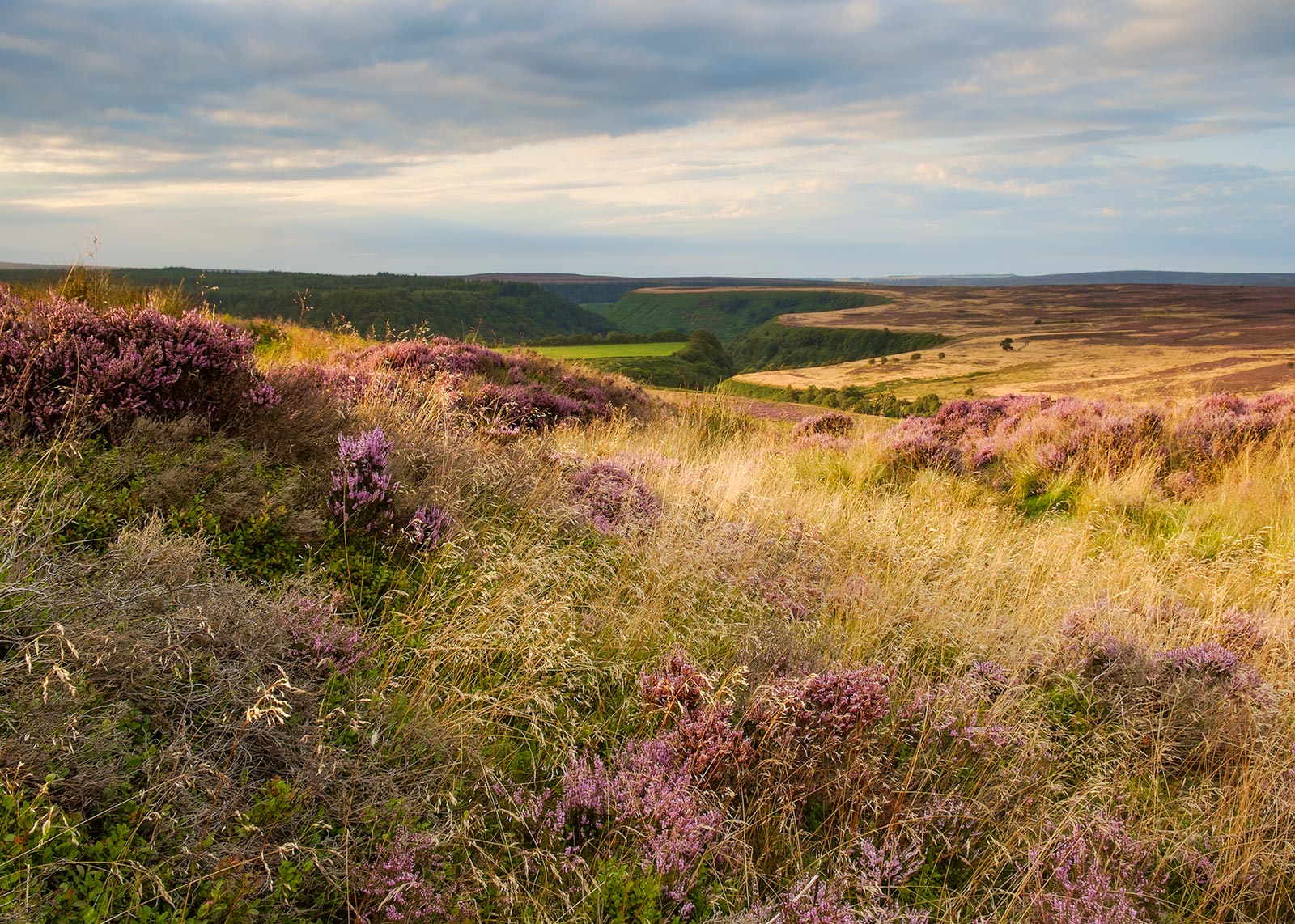 A glint of sunlight above Newton Dale