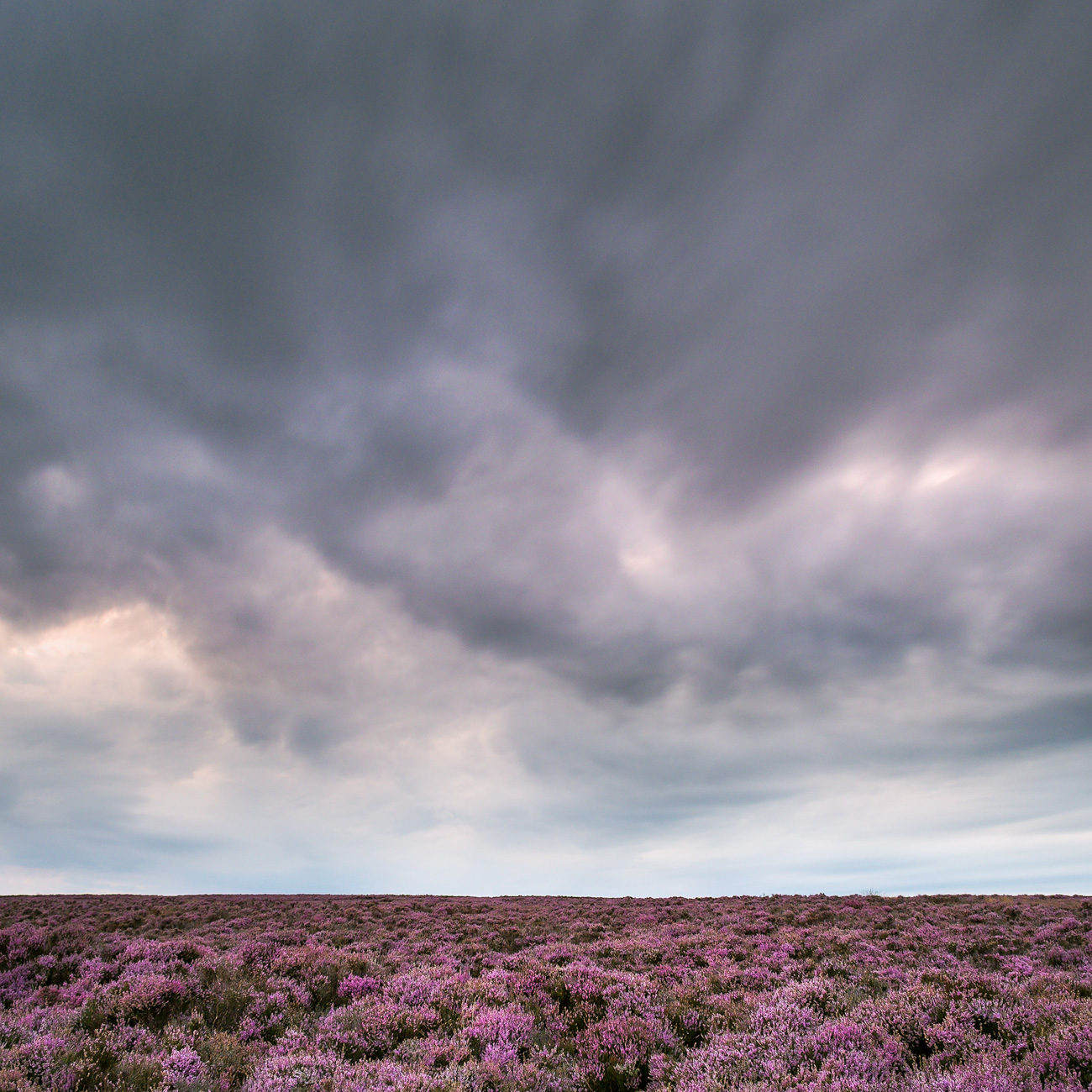 Angry clouds and heather above Hole of Horcum