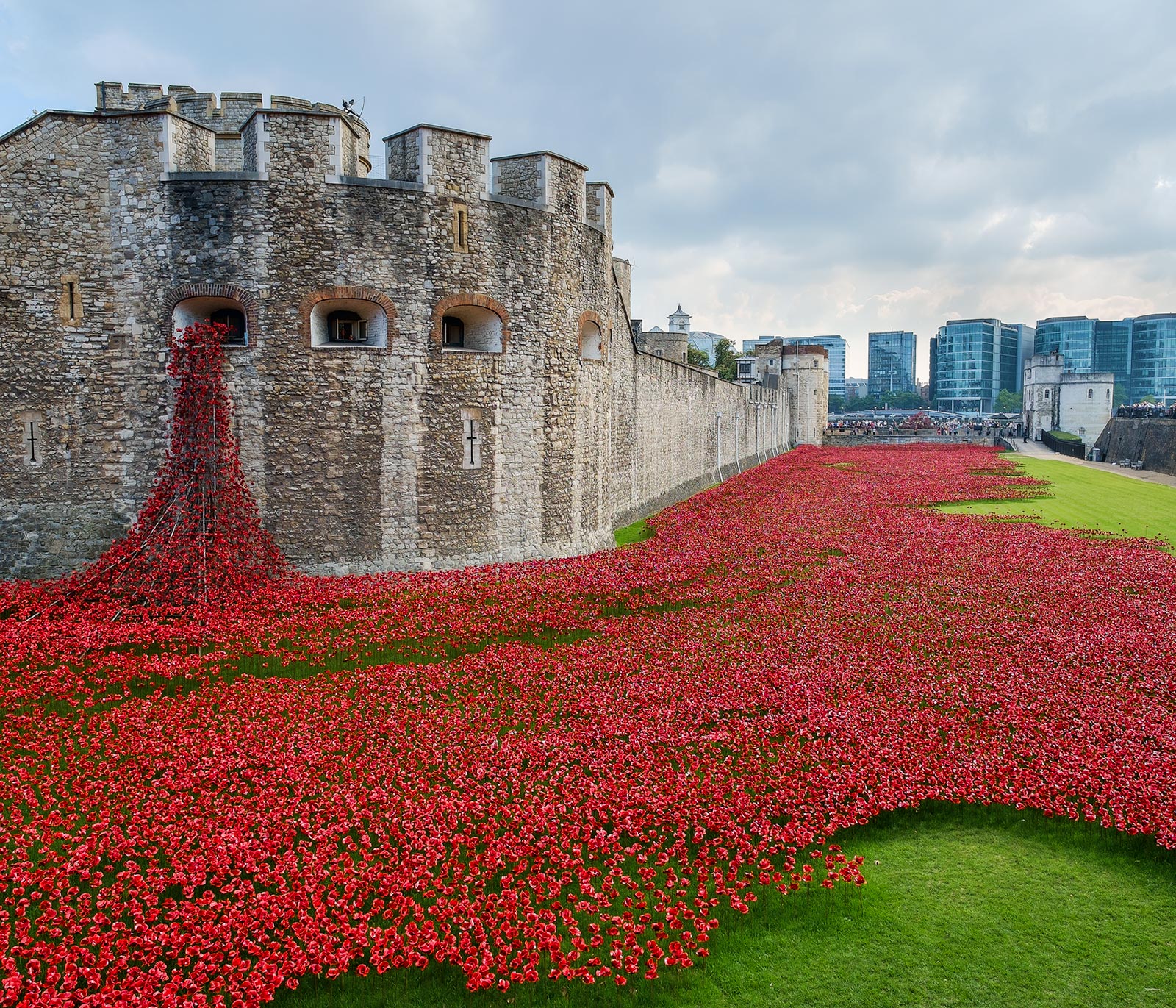 Ceramic poppies in the Tower Moat - Fuji XE-1 and 14mm lens
