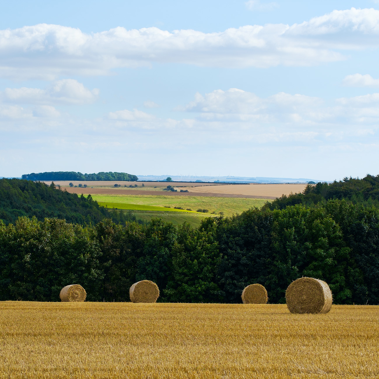 Hay bales above Greenwick Wold - Fuji XE-1 and 55-200mm lens