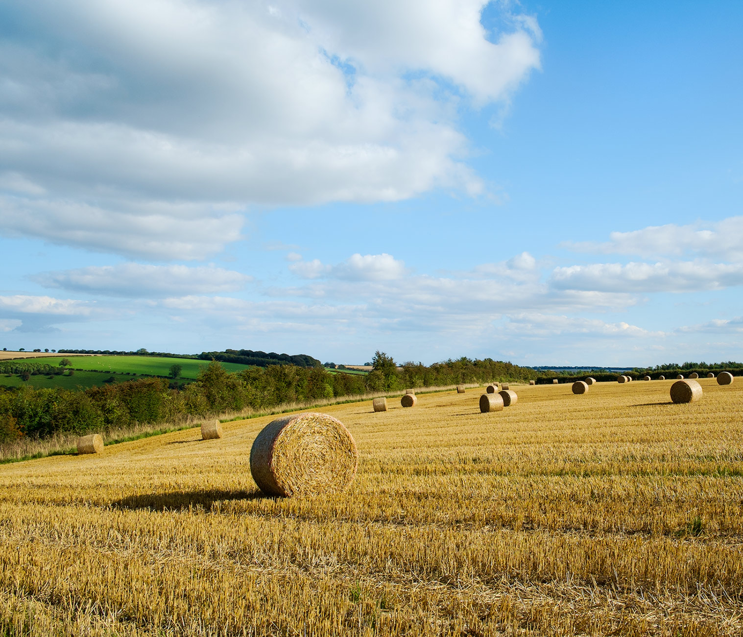 Bishop Wilton Wold - Fuji XE-1 and 18-55mm lens