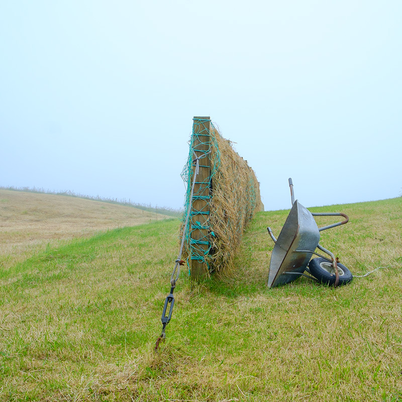 Making hay whilst the sun doesn't shine