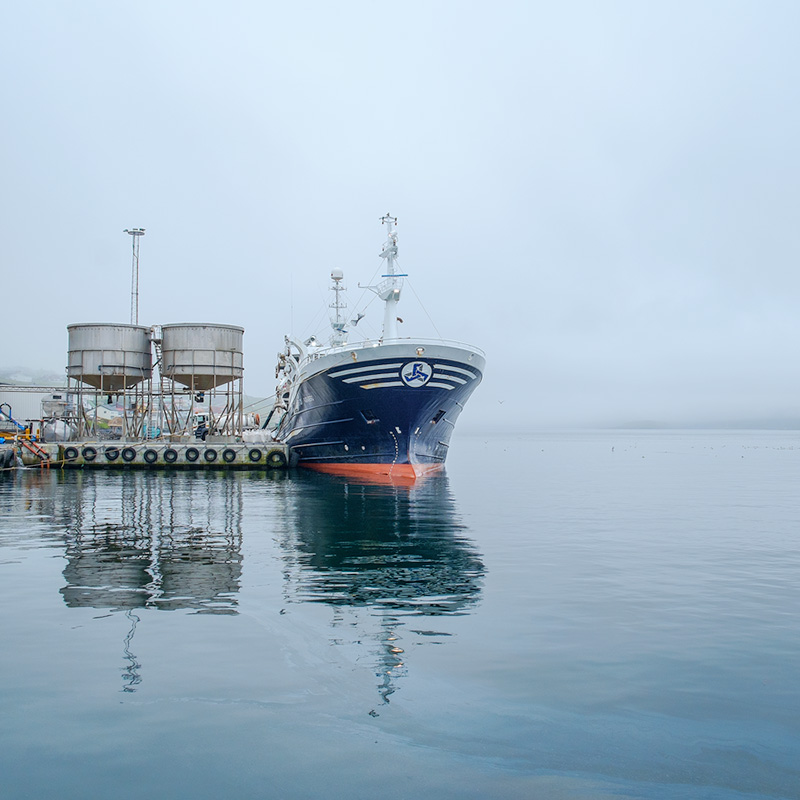 Ship in the mist, Tvoroyri harbour