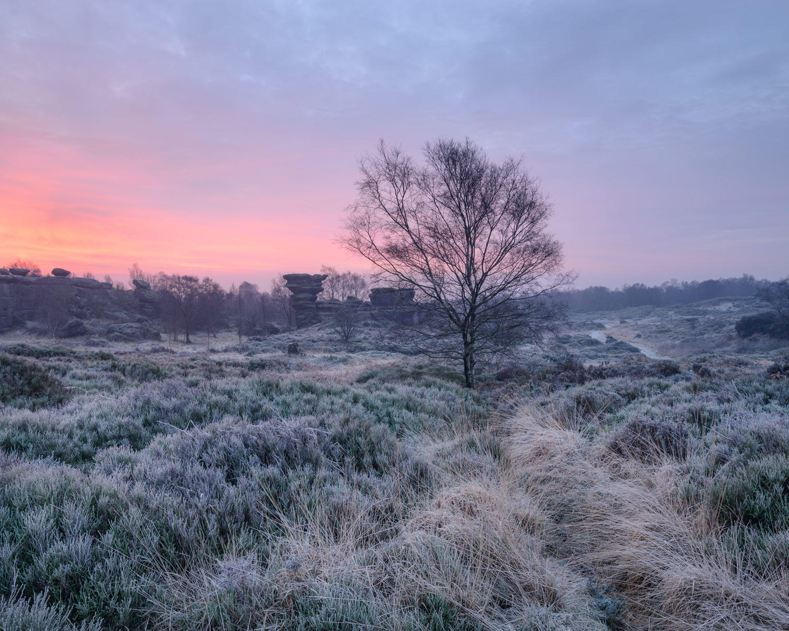 A frosty Brimham Moor, just before sunrise