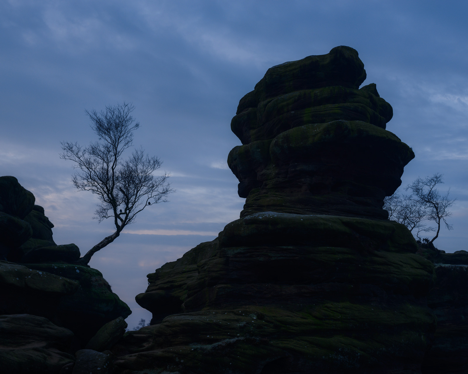 'That' tree and millions of faces in the rock - Brimham Rocks in silhouette