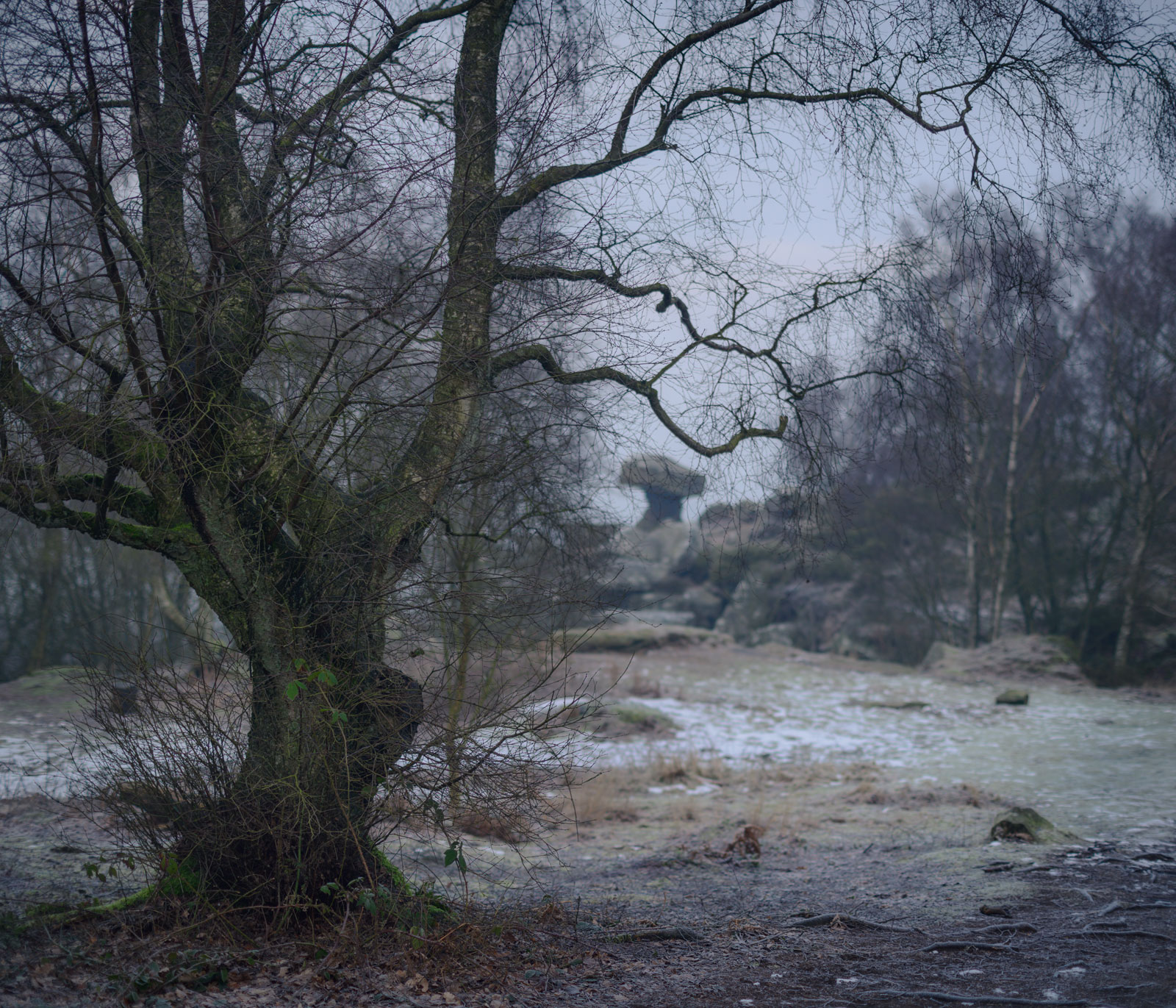 Distant view to E.T (or the Druid's Table) - Nikon 50mm at f/2