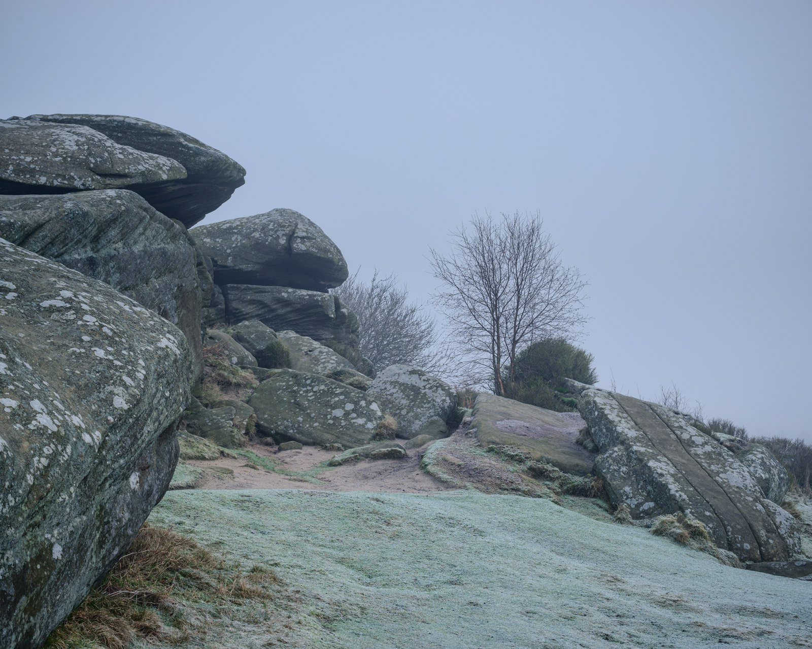 Striped boulder, Brimham Rocks - Nikon 50mm at f/8