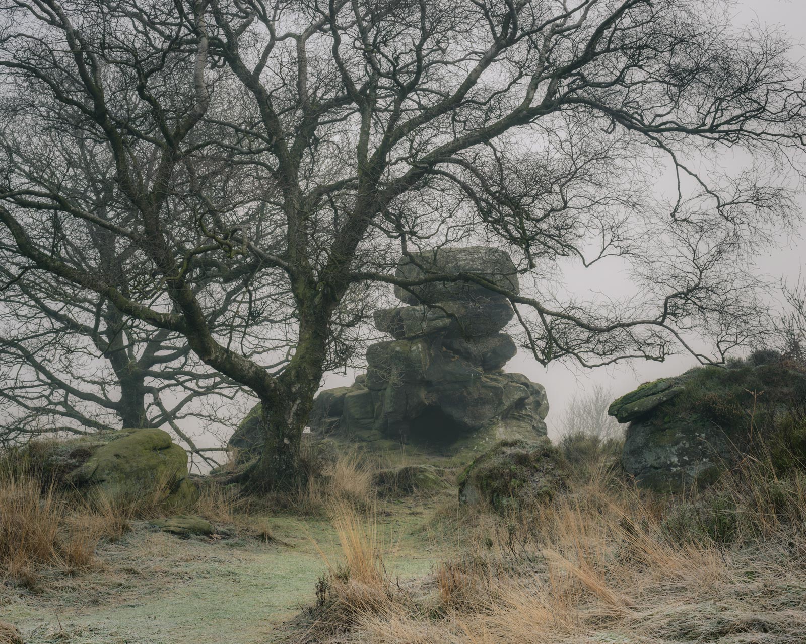 A Winter's morning at Brimham Rocks - Nikon 50mm at f/11