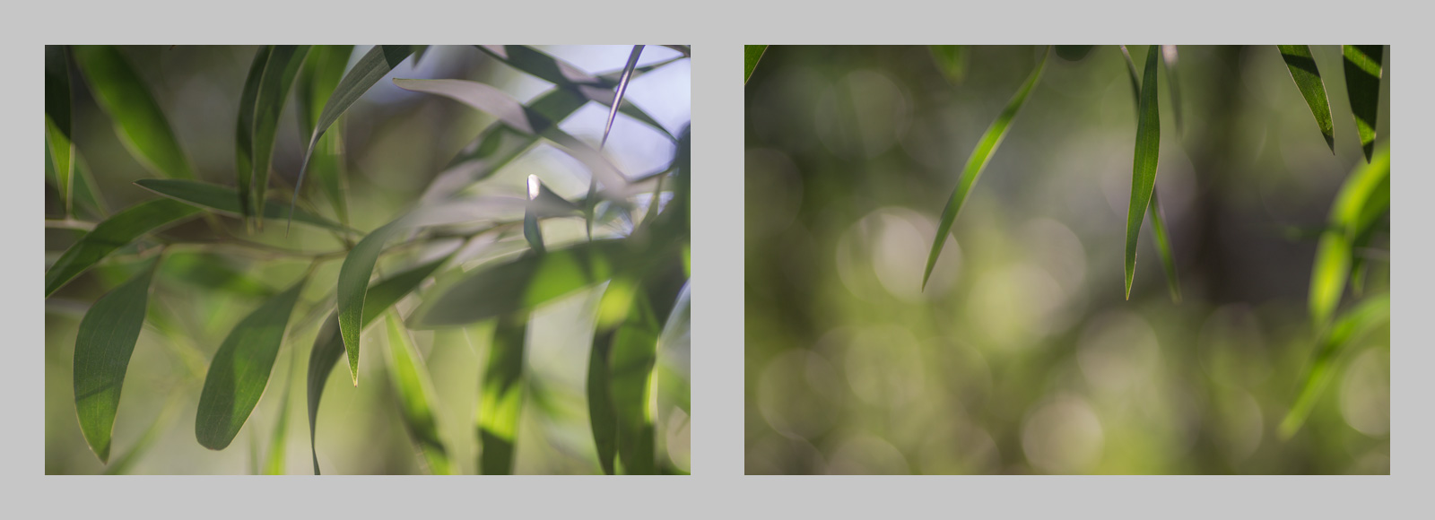 Two frames shot with the Sony A6000 - constituent parts of the multiple exposure jpeg created in camera