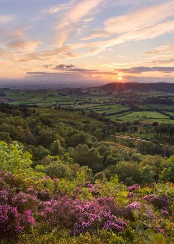 Boltby Scar sunset Boltby Scar sunset