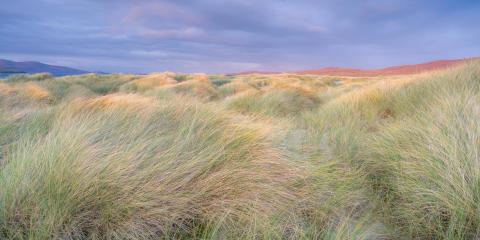 Lizzie Shepherd Photography Lizzie Shepherd Photography