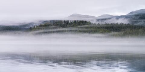 Lizzie Shepherd Photography Lizzie Shepherd Photography