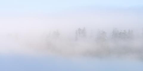 Lizzie Shepherd Photography Lizzie Shepherd Photography