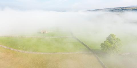 Lizzie Shepherd Photography Lizzie Shepherd Photography